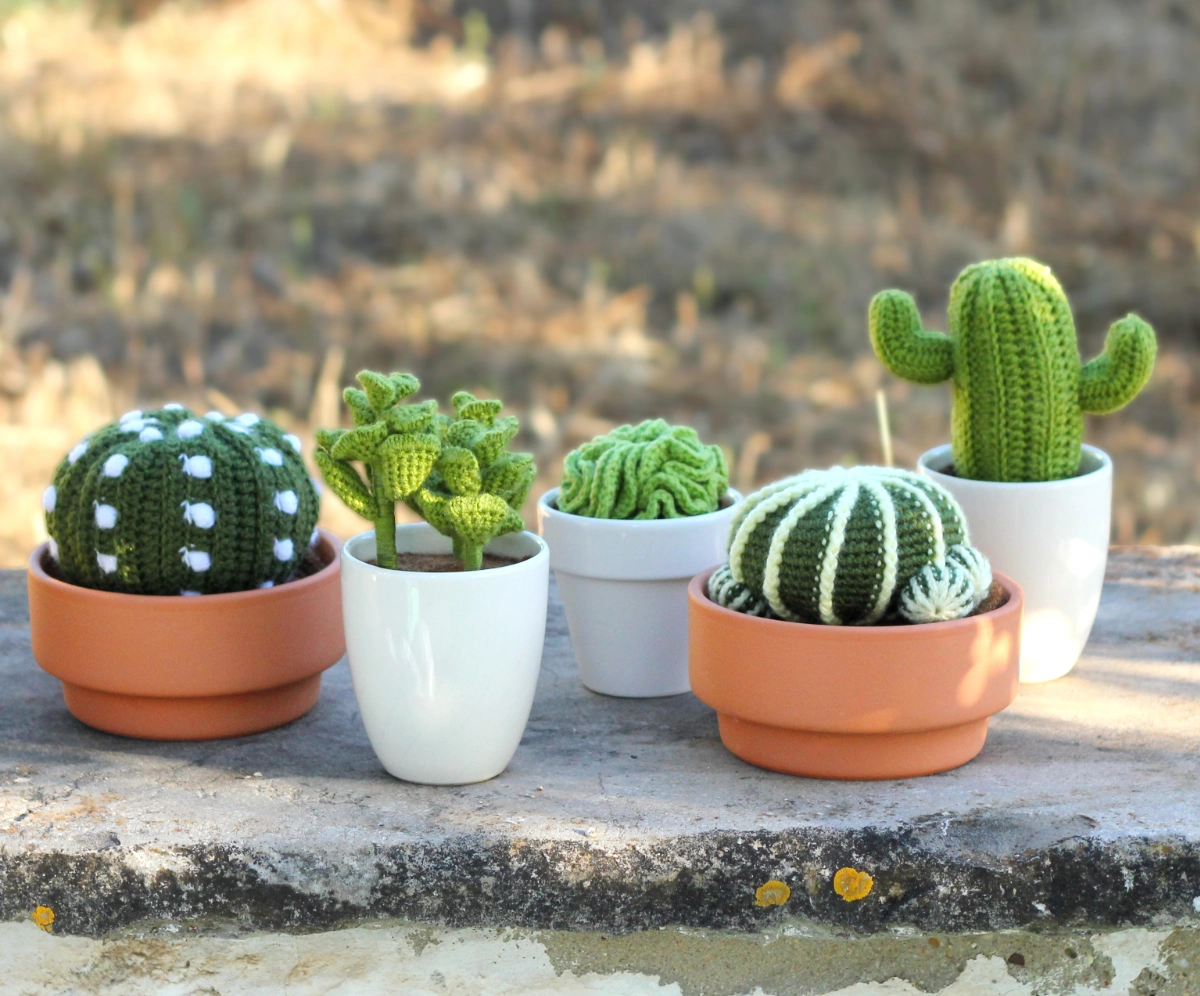 Amigurumi Crochet Cactus Pattern II | BuddyRumi